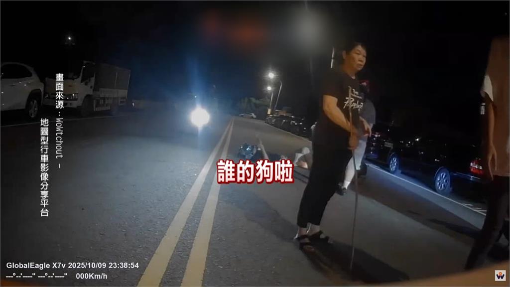 桃園阿嬤遛狗沒繫牽繩 狗狗亂竄害騎士急煞慘摔