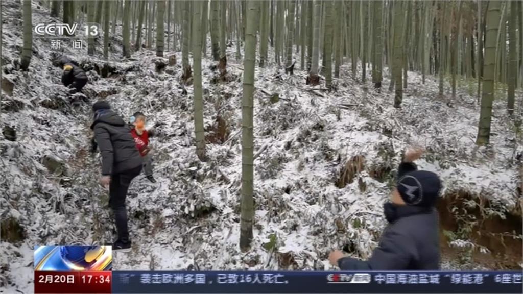 冷空氣來襲氣溫急凍!中國福建迎虎年初雪
