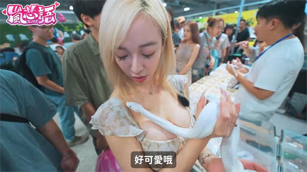 太香了!逛爬蟲展見「小白蛇成精」 主動狂蹭妹子胸口網羨:好想當蛇