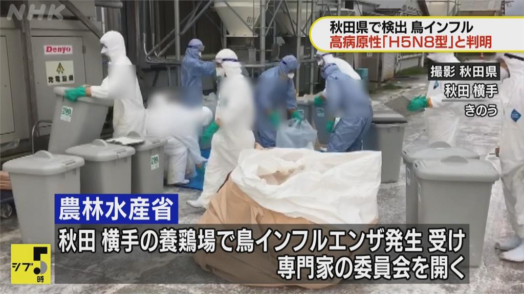 日本秋田縣爆禽流感 雞場逾14萬隻雞遭撲殺