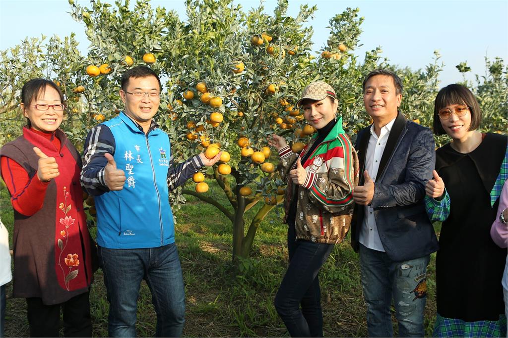 王中平帶陳美鳳到斗六採茂谷柑 西裝筆挺出場被虧「要在果園開唱嗎」