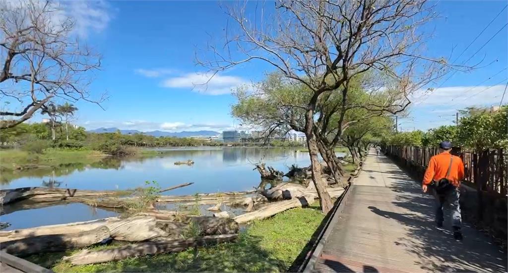 春天來了！羅東文化園區柳絮紛飛　杜鵑花綻放　遊客邊散步邊哼歌