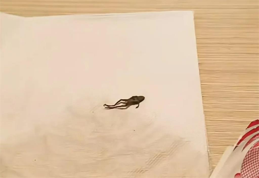 中國手搖飲被喝出「整隻青蛙屍體」照片秒登微博熱搜!當事人傻眼:太噁心