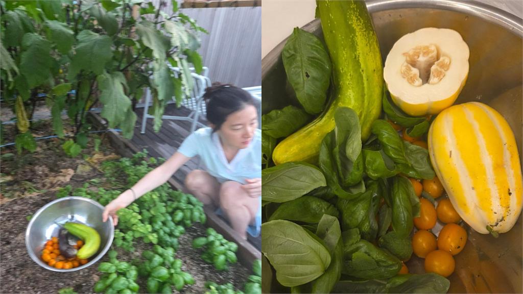 《大長今》54歲資深女星驚變農婦？「素顏蹲地摘菜」凍齡樣貌全曝光