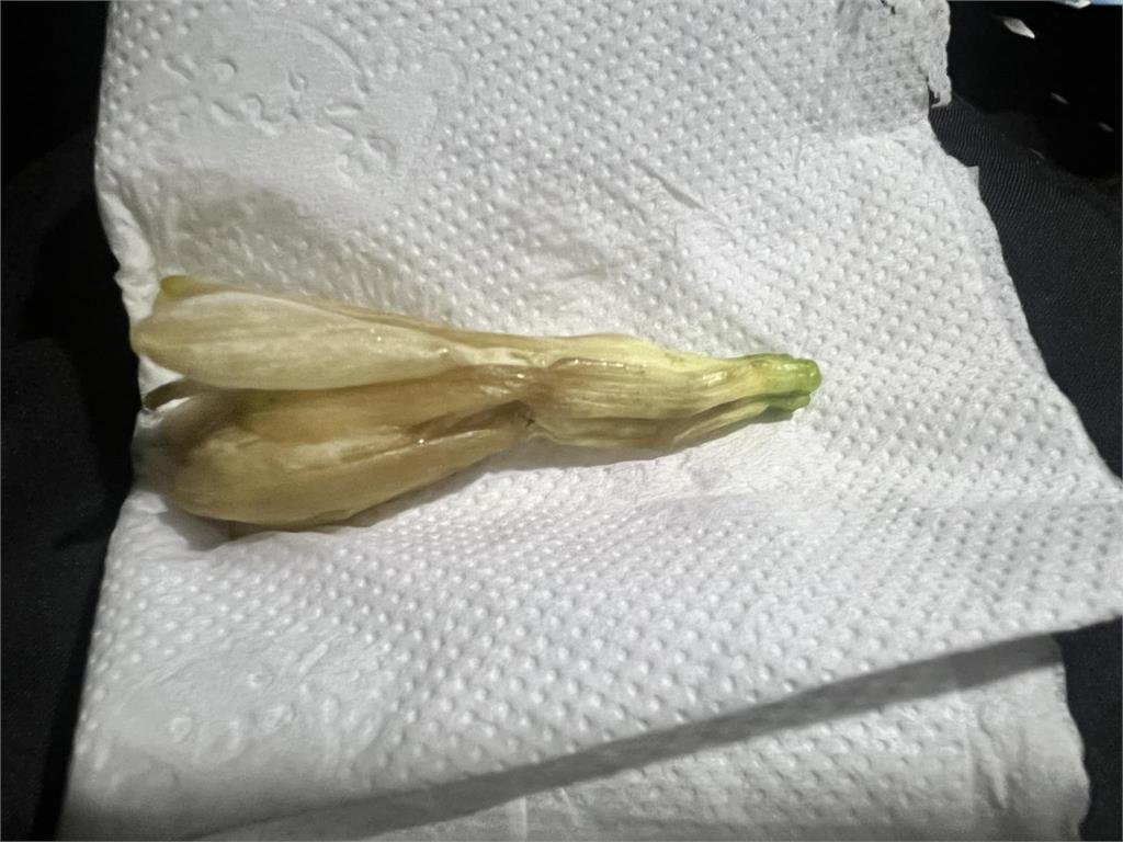 夫妻好心幫買「阿婆玉蘭花」!50元拿到「1朵爛花」網嘆:近乎詐騙