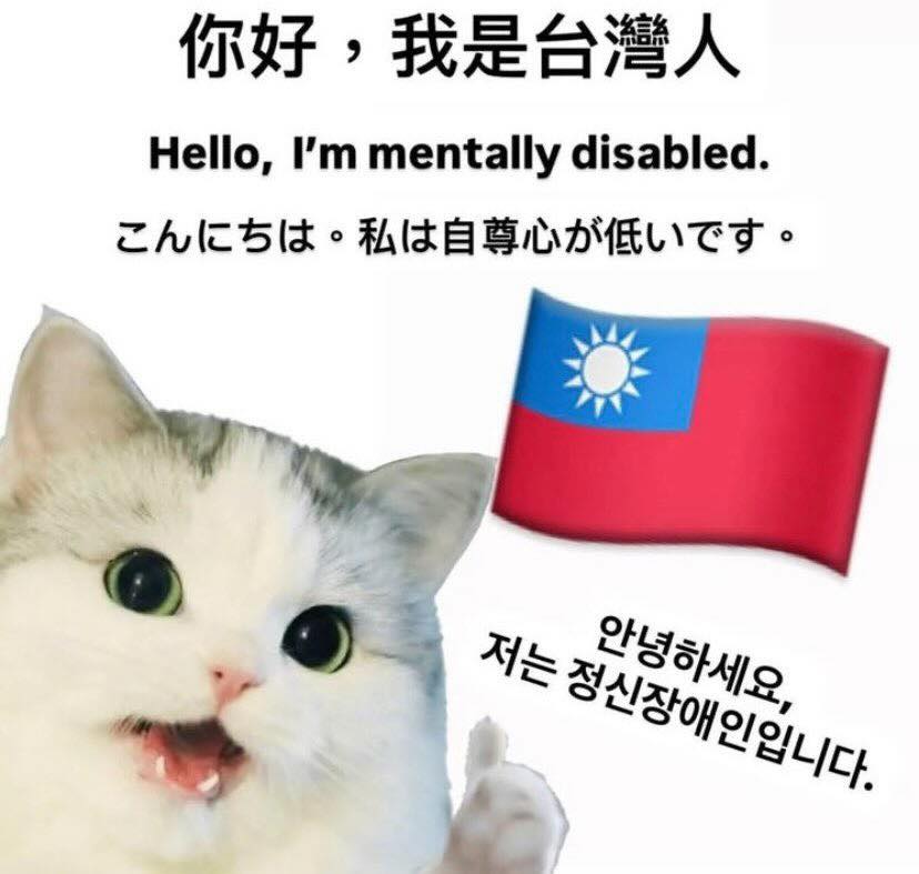 「您好,我台灣人」迷因圖太多!疑引「外國人反感」台網友嘆:存在感刷過頭