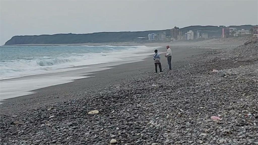 水針魚「魚頭」遍布七星潭海灘　不是花蓮地震影響！竟是「這原因」