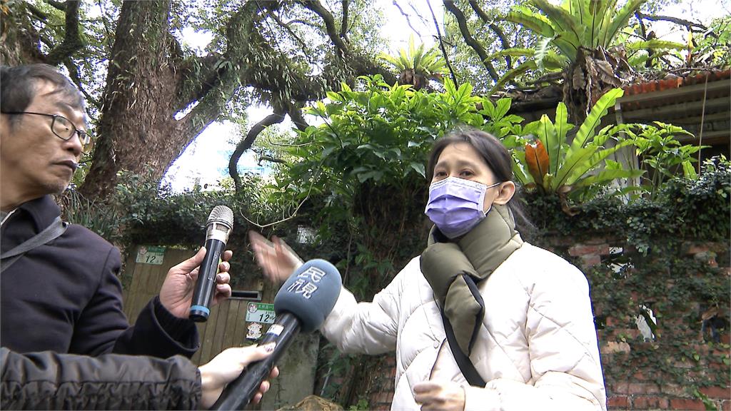 都更案申請保護「老芒果樹」 建商未獲執照竟擅自砍伐
