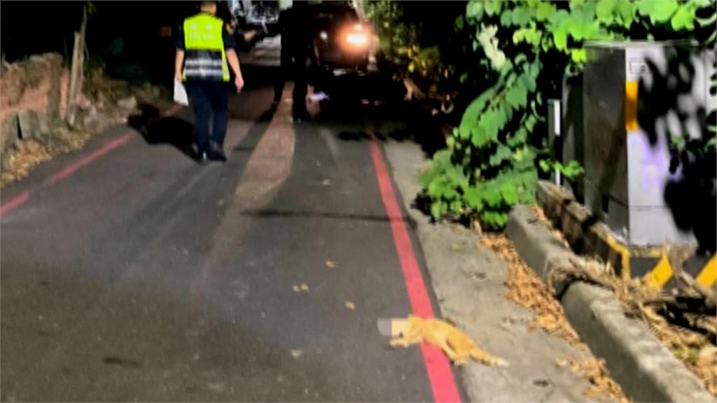醫界不捨！名醫朱志生急奔醫院救人　閃野貓自摔不治亡