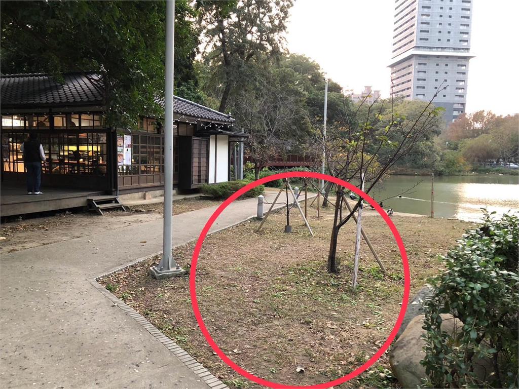 新竹公園驚見「斷頭小貓」器官散一地!已是同區域第3隻 動保處說話了