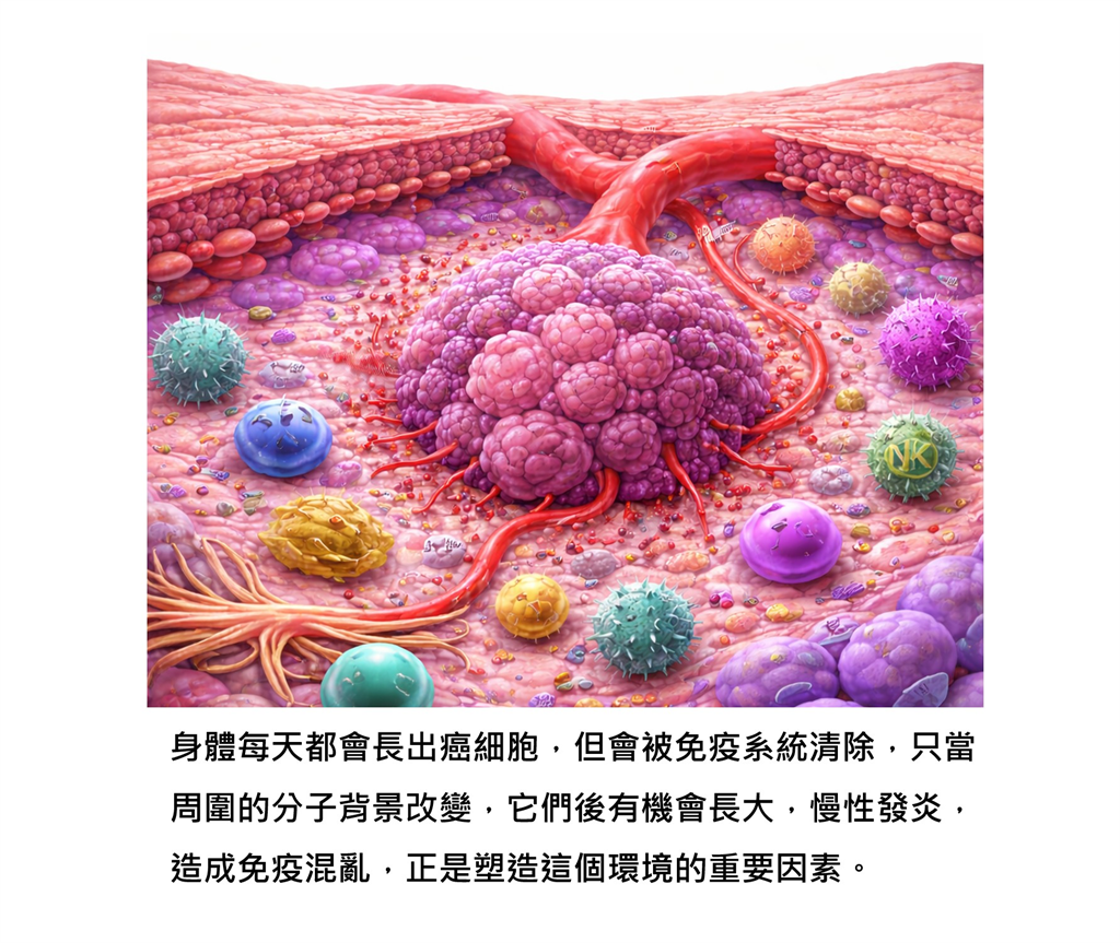 癌症並非突然發生而是多年累積？醫曝「4種習慣」幫癌細胞創造生長環境