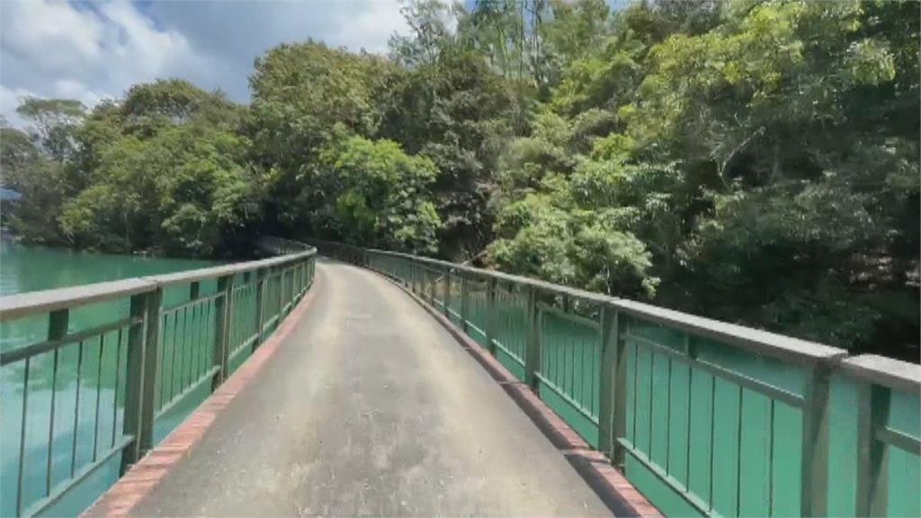 暗藏危機！　日月潭環湖自行車道「蜂猴擾民」