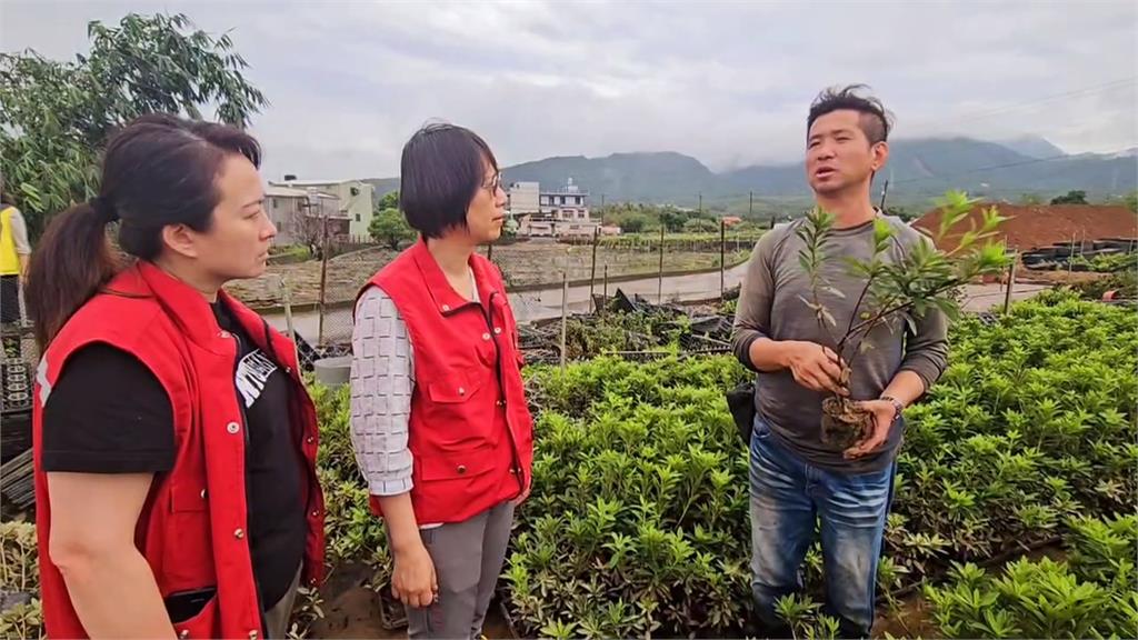 山陀兒餘威驚人多處致災　萬里金山杜鵑花田全毀