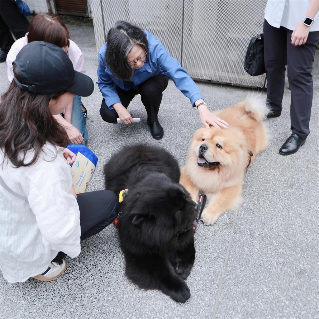 蔡英文華山遇「巨型擋路仔」！下秒「蹲地狂擼」畫面曝光…她笑喊：差點走不出去