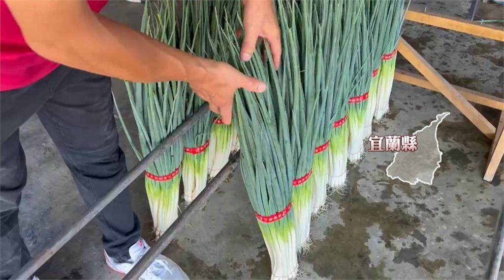 巴威來者不善! 蚵農.蔥農忙搶收 苗栗烘穀機24小時不停