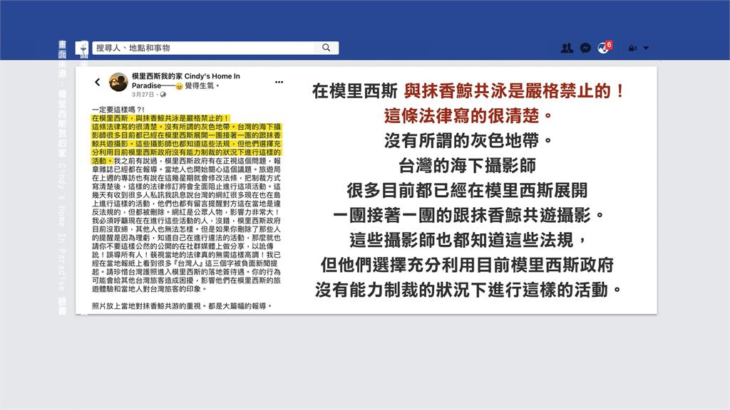 南拳媽媽觸摸抹香鯨被炎上 當地粉專「直接點名台灣人」