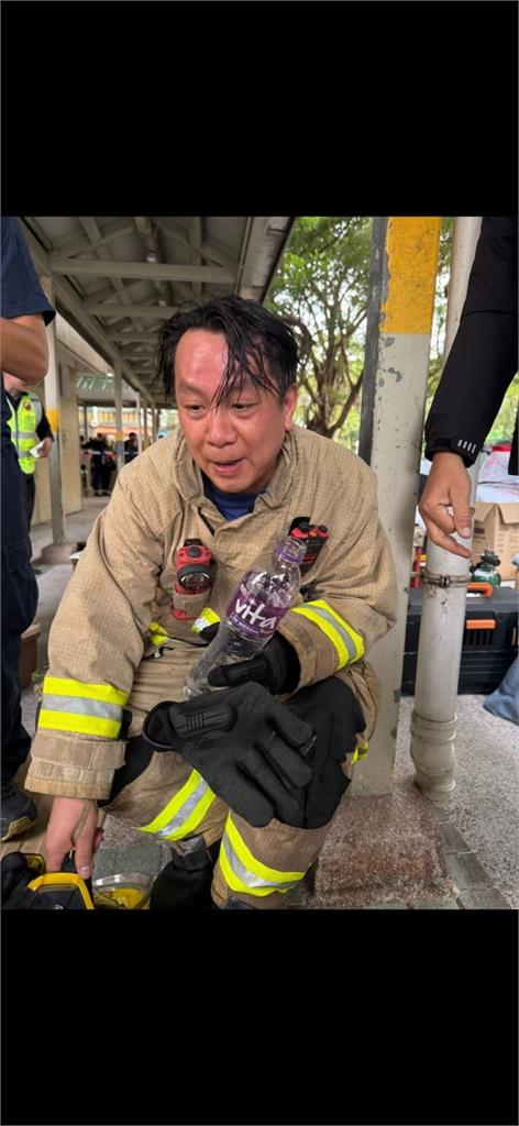 香港大埔宏福苑大火 消防員冒險救出9貓1狗感動網友