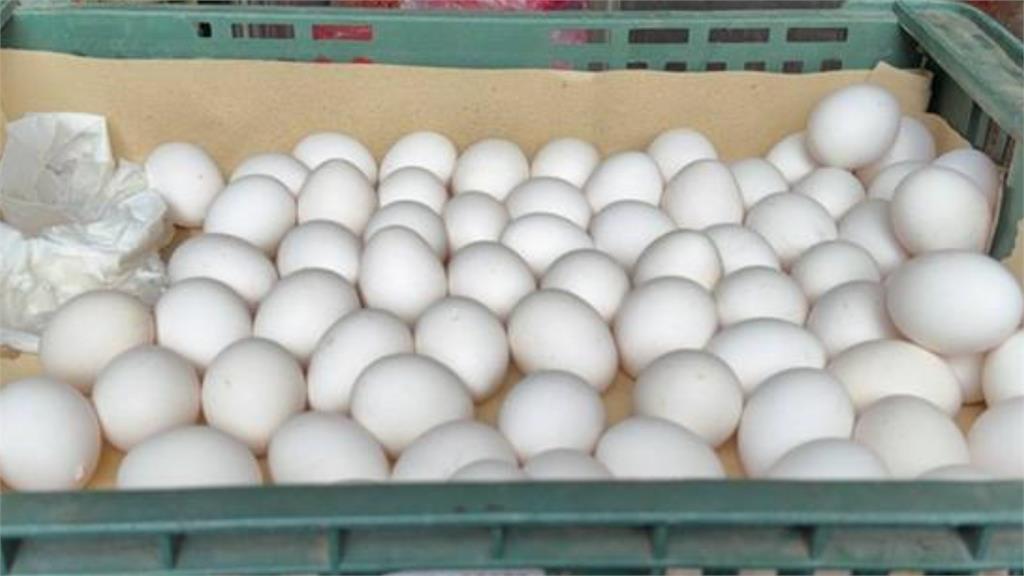 15萬顆芬普尼雞蛋流市面「誤食恐傷肝腎」？醫點「3關鍵」：這些人要注意！