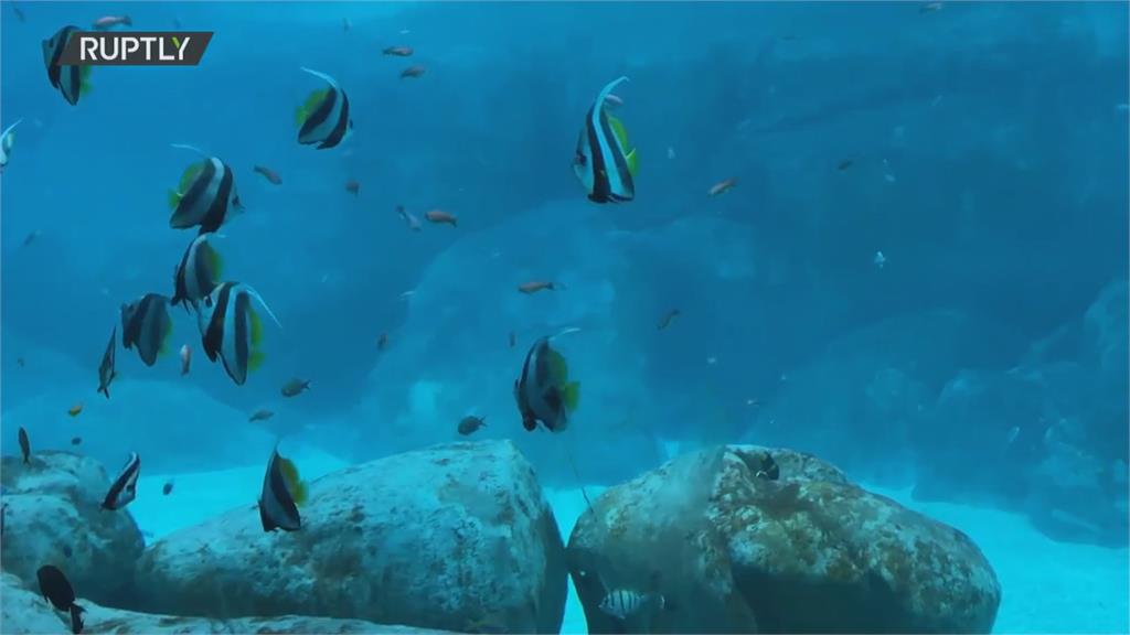 阿布達比最新海洋世界樂園　阿聯王儲哈立德親自揭幕