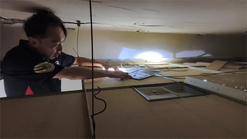 除鼠！北市「安鼠之亂」延燒　第一線抓鼠公司近期電話接不完
