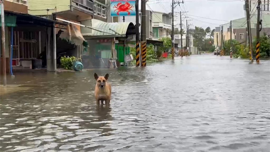 颱風豪雨又漲潮　台南水淹小腿肚！民宅也遭殃