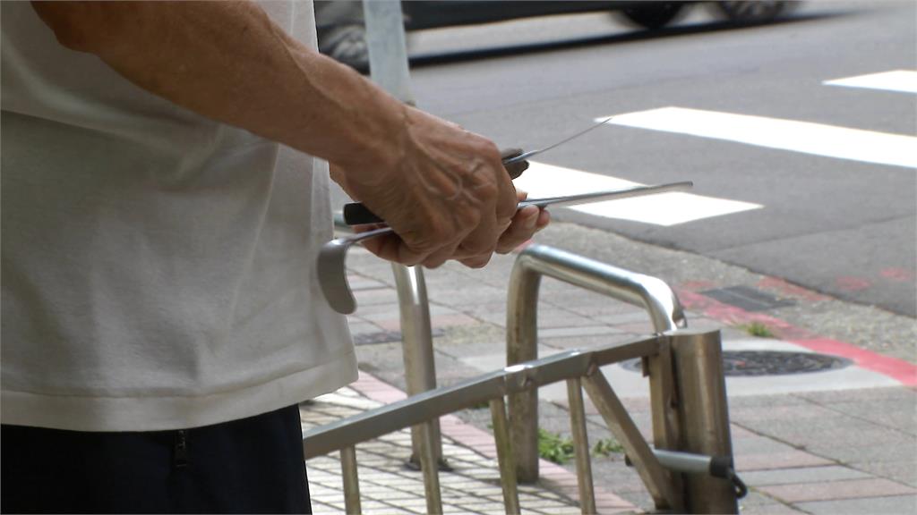 獨／水溝變花園？內湖疑見「大花紫薇」竄出　議員怒轟環保局推託