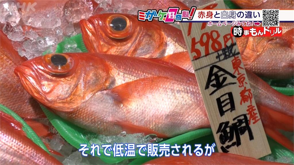 魚肉偏紅、偏白差很大！ 日本專家來解答