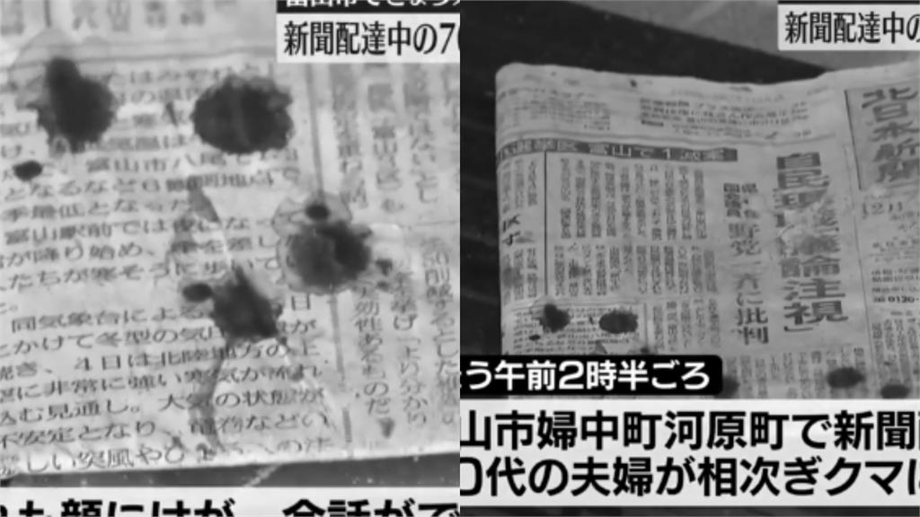 老夫妻凌晨送報遭熊「瘋狂撕咬」!恐怖瞬間曝光…30歲男「徒手揮拳」擊退
