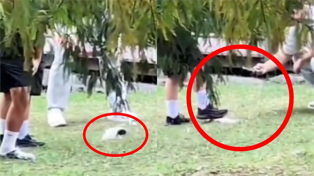 他驚見4學生公園「伸腳踩踏生態池魚」…殘忍畫面曝光遭環保局開罰！