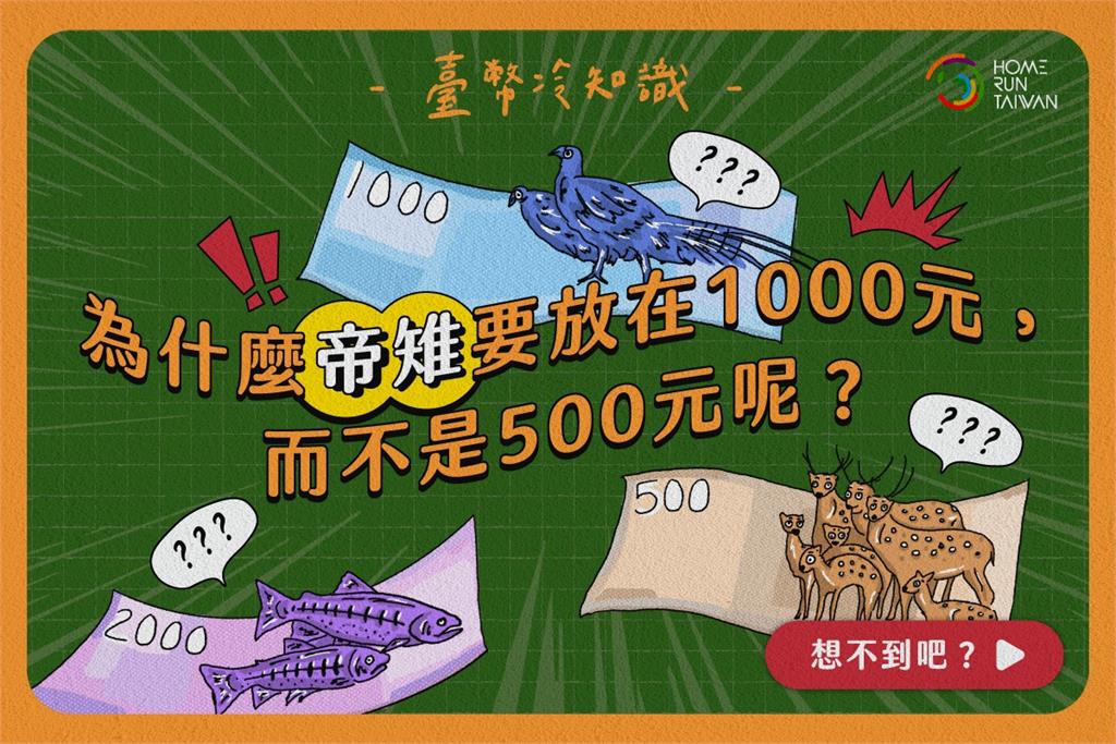 帝雉為何不印在500元上?紙鈔竟藏冷知識專家曝與「1原因有關」