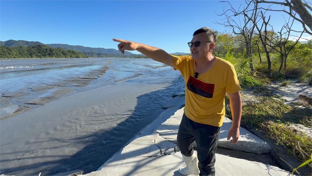 鳳林鎮乳牛變「水牛」 120隻乳牛被沖到太平洋!估損失破千萬