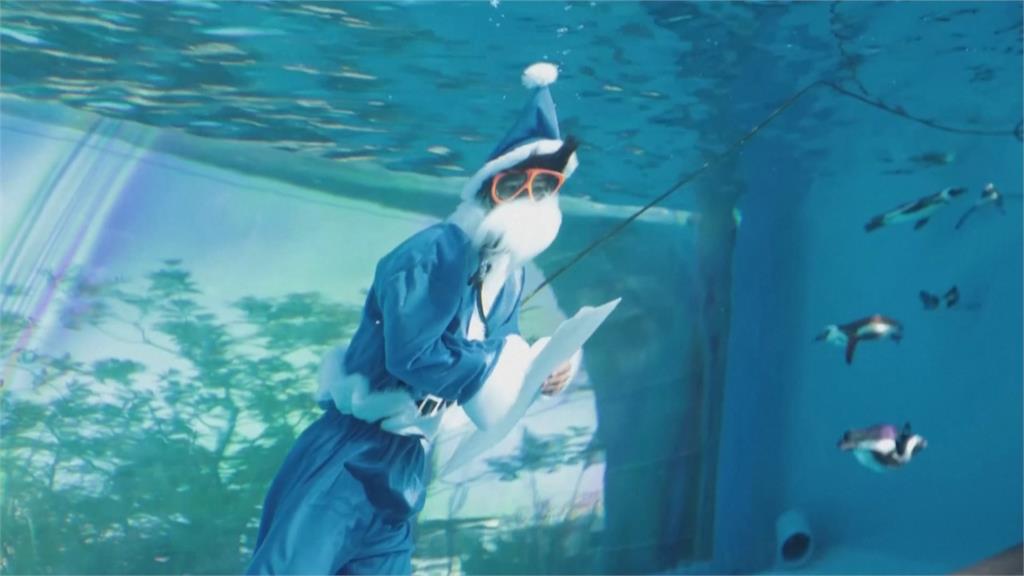 耶誕夜東京水族館表演秀 耶誕老人與非洲企鵝共游