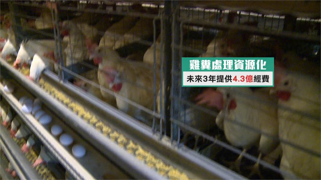 改善缺蛋源頭！　農委會祭優化養禽場4大措施