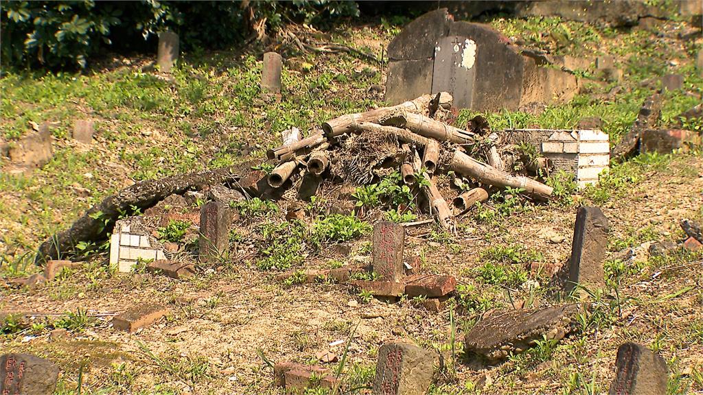 六張犁政治受難者墓園遺跡遭破壞　議員砲轟蔣萬安
