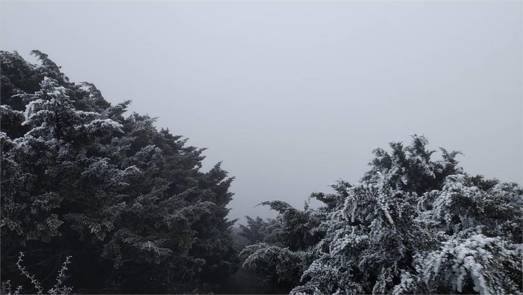 入冬第二波冷氣團！　玉山現「霧淞美景」　氣象署曝初雪時機