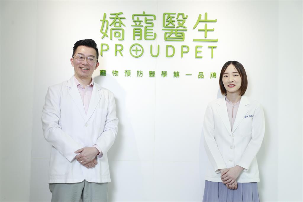 胖貓別只少吃！獸醫揭5大體控難題「維持肌肉」才是關鍵