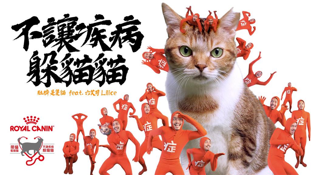 破解疾病躲貓貓!帶貓看獸醫 領券現折500