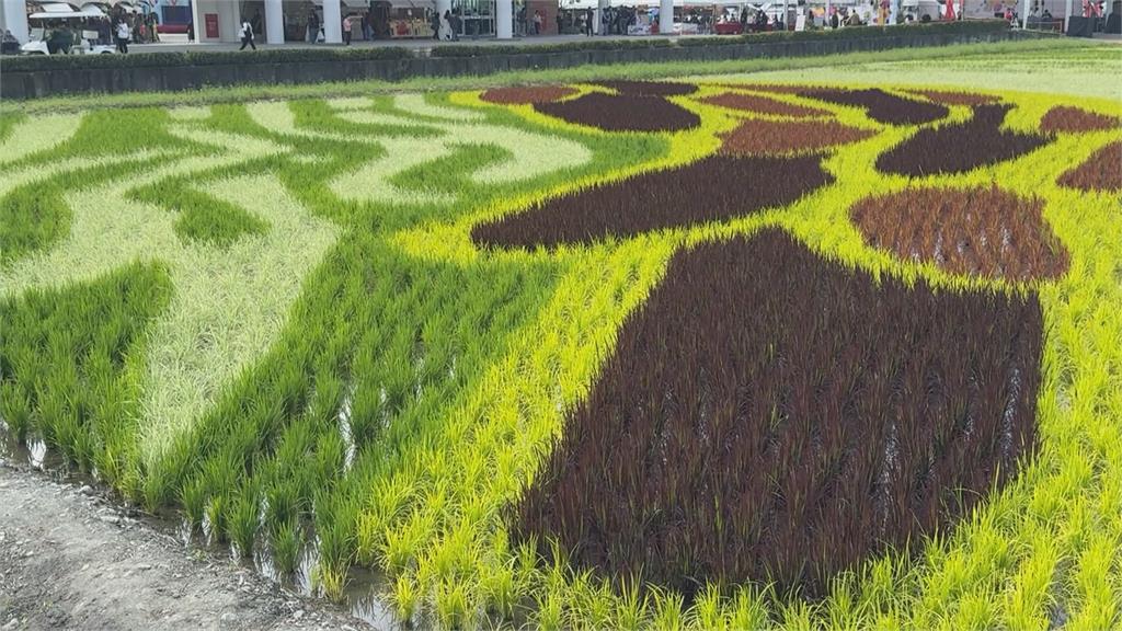 屏東熱帶農業博覽會開展　推四大展區展示多元農業面貌
