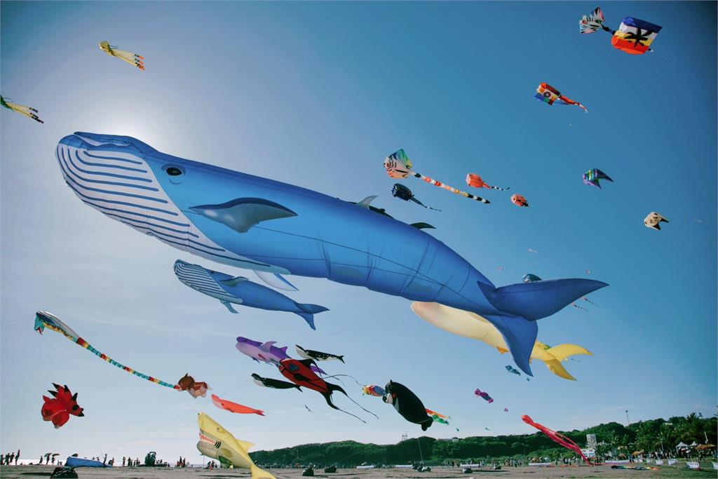 超萌！「高雄熊的海洋派對」　旗津風箏節7/20登場