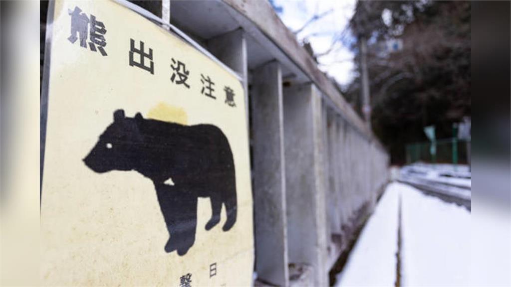 準新郎北海道登山遭熊咬S!GPS手錶曝「遇害全過程」:屍體拖行數百公尺