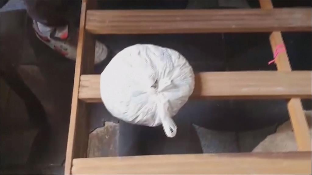 難忘的情人節「禮物」! 祕魯警扮泰迪熊逮女毒販