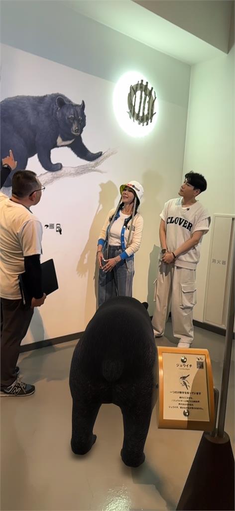 用聽診器聽「百年大樹的心底聲音」!陳美鳳與大自然融為一體 用聽診器聽「百年大樹的心底聲音」!陳美鳳「人生中要有一次跟大自然融為一體」