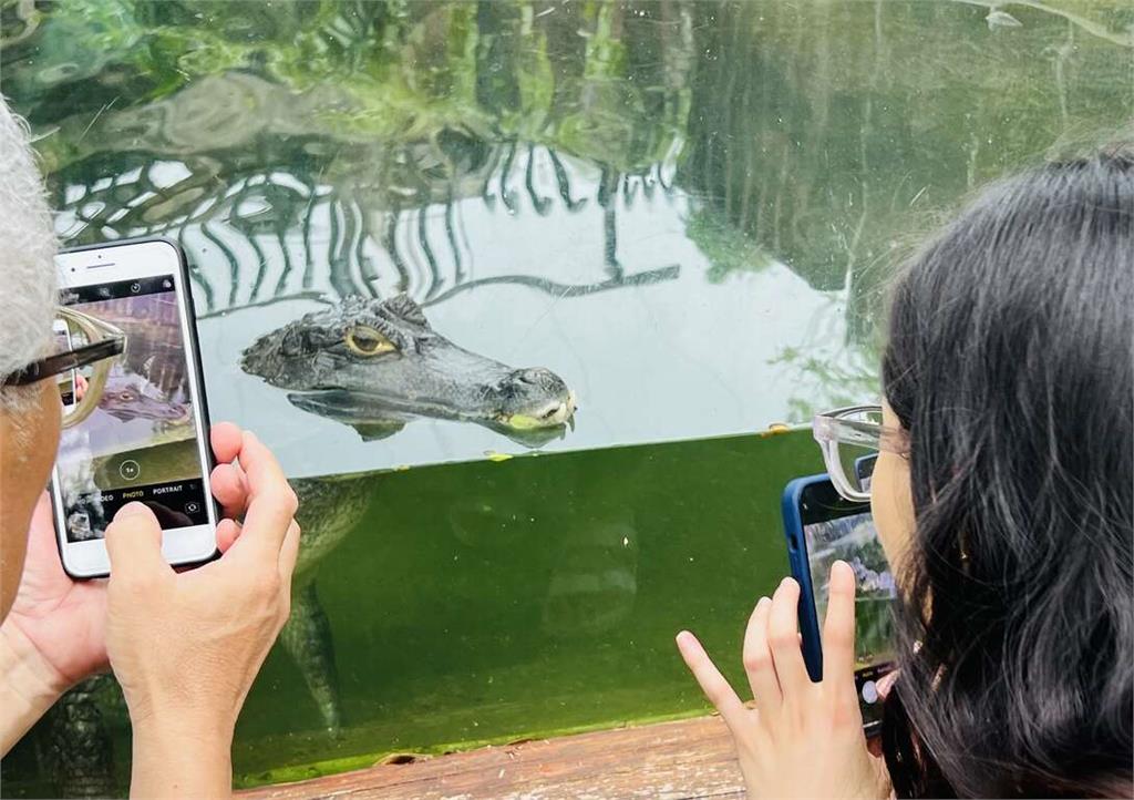 快新聞/感謝風災救援英雄辛勞! 壽山動物園憑證「年底前免費入園」