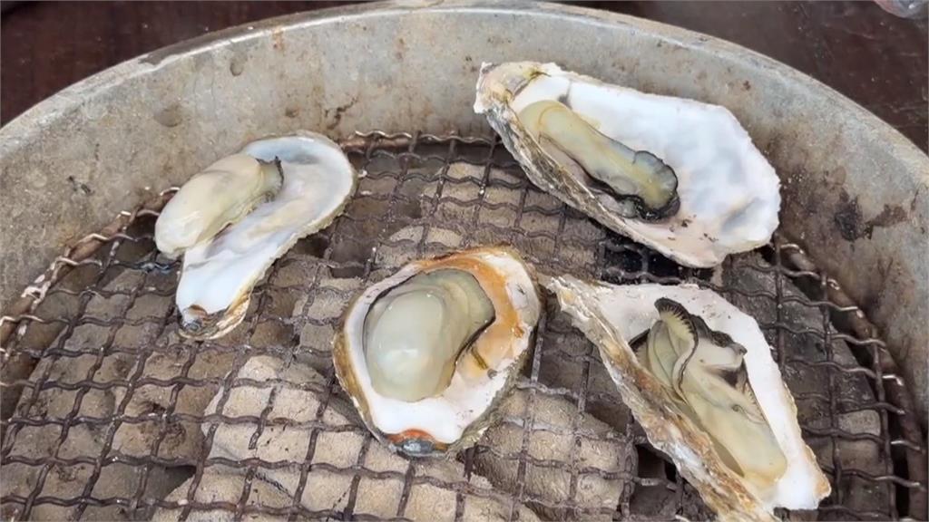 東石海之夏連兩週末登場　享受最棒的夏日時光