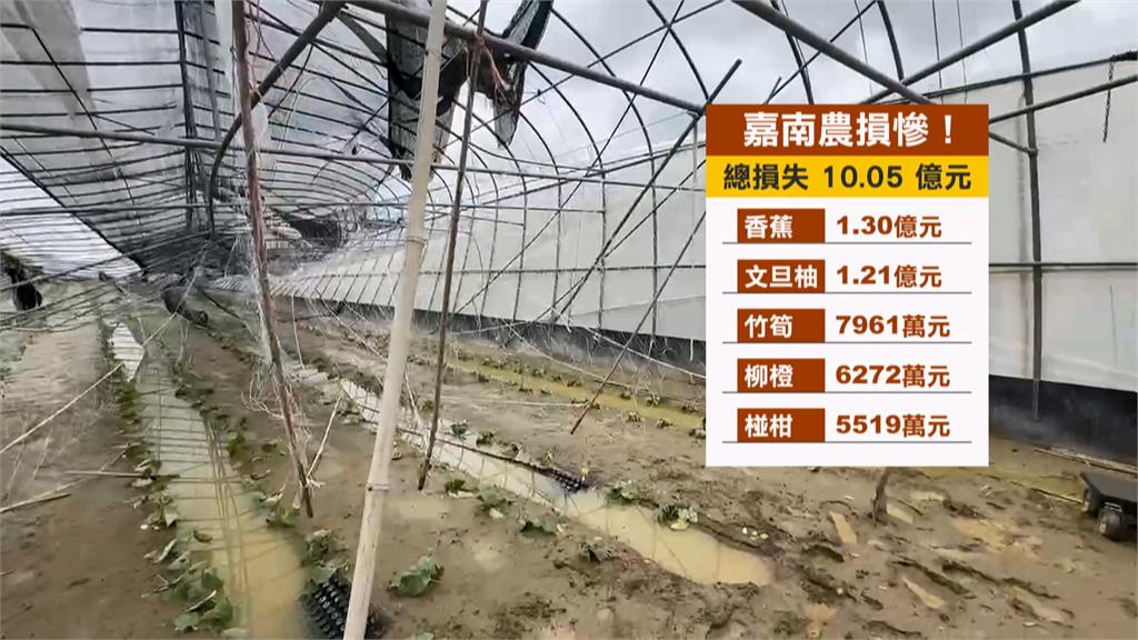 丹娜絲襲擊全台農損逾10億 賴總統、卓揆兵分多路勘查