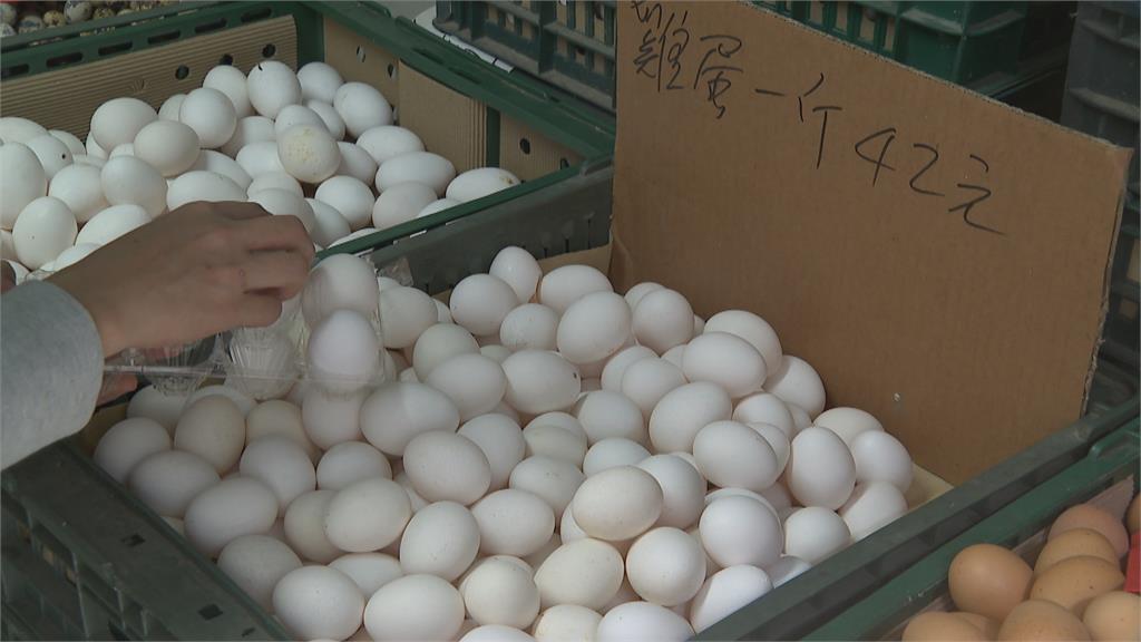 天冷產量減、飼料運輸成本增　最便宜白散蛋也漲五成