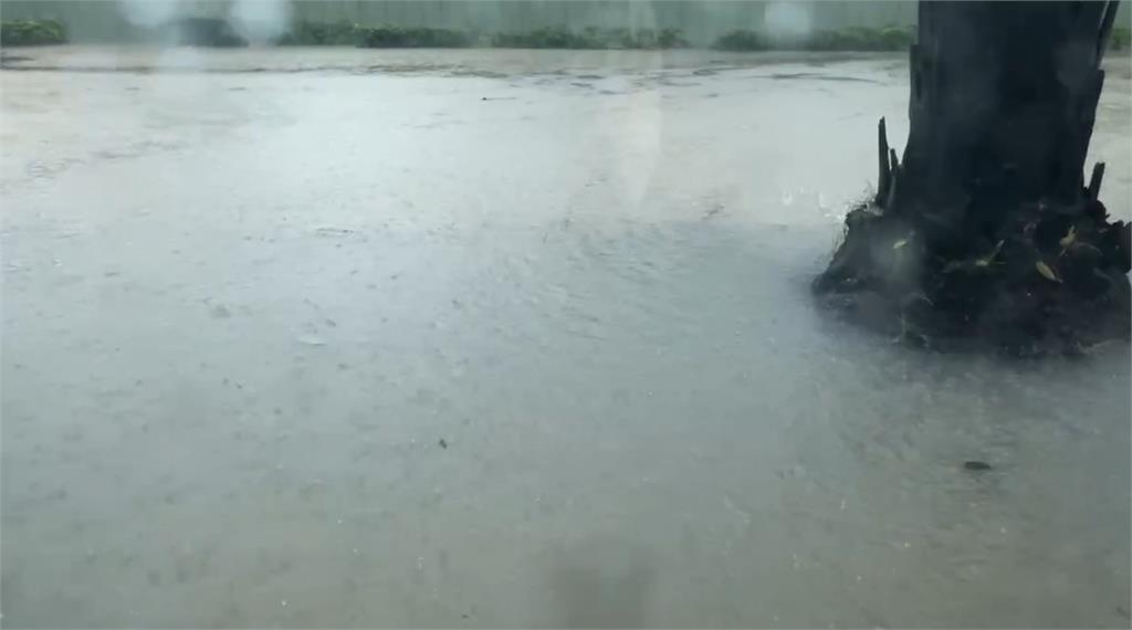 快新聞/高雄馬路變河流!轎車開一半拋錨還進水 車主急喊:阿彌陀佛