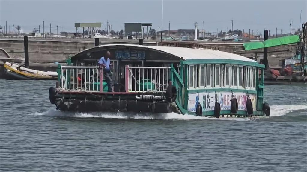 嘉義東石外海嬌客現身　白海豚成群伴遊觀光船