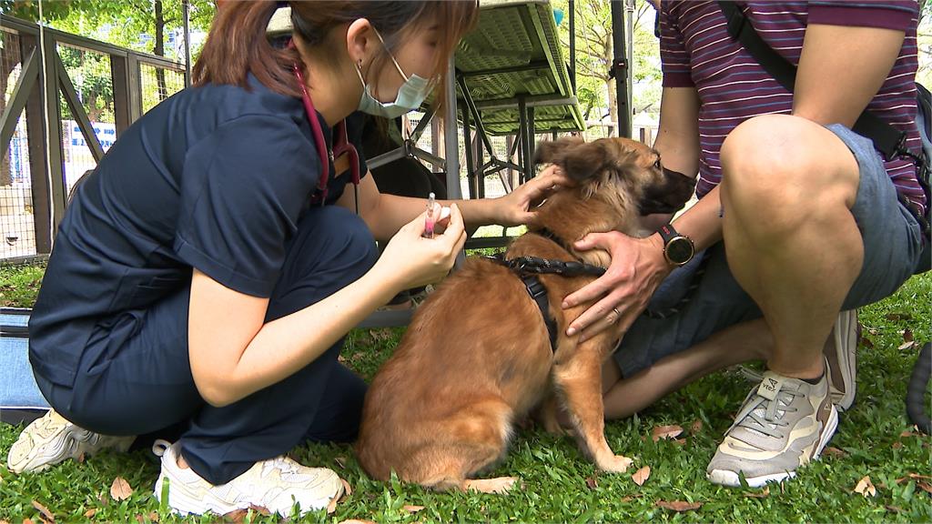 北捷狗狗列車出發! 蔣萬安牽導盲犬響應「國際寵物日」