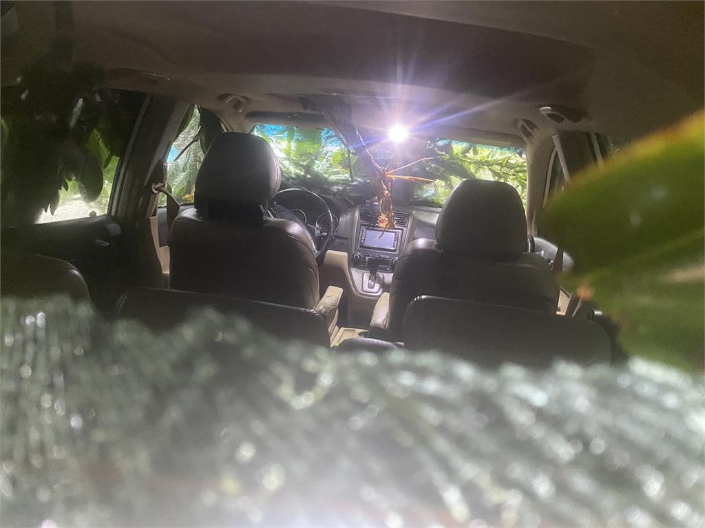快新聞/開車險被樹砸中!凱米風雨肆虐 花縣議員死裡逃生